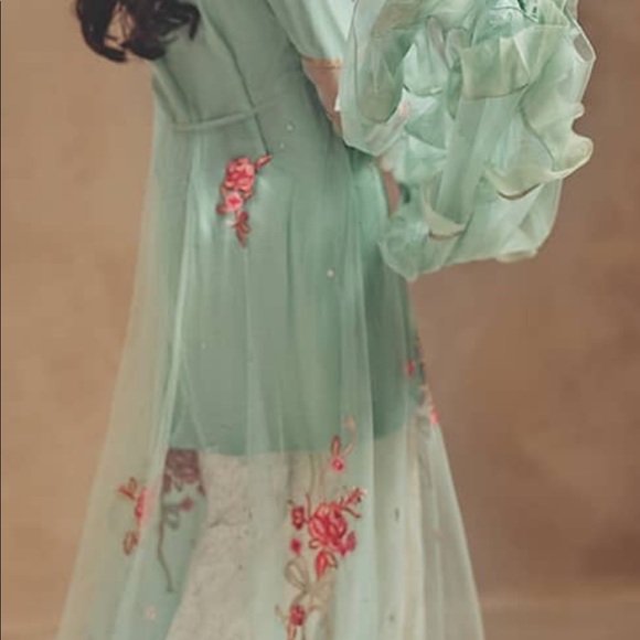 Desi Designer dress - Picture 7 of 7